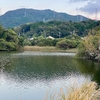かわる溜池（山口県長門）