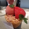 【PATISSERIE ASAKO IWAYANAGI】パフェ1杯3,000円？！等々力の人気店に行ってきた！