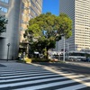 消去