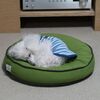 【犬の十戒】をポチの気持ちになって考えてみました。