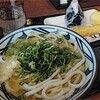 2012/8/24　あさうどん