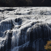 今日の一枚（93）　善峯寺の紅葉