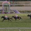 １２月８日公開予想・結果　～阪神ＪＦは推奨馬が２，３着