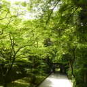 長坂総研　研究成果