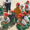 西山の森あじさい挿し木（4年）４年１組国語　ひまわり3組