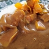 カレーは節約料理？