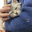 宙のアルバム
