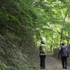 新樹の不入山遊山　分け入る