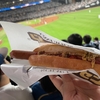 2024年9月　エスコンフィールドへ