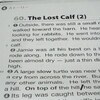 The Lost Calf