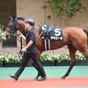 【一口馬主／ラキエータ】まさかの…！？