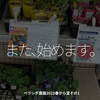 2777食目「また、始めます。」ベランダ農園2025春から夏その1