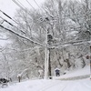 また雪が積もる…雑記とか