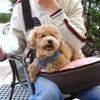 GWのニゴくん②