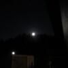 今夜の月（出たばかり）