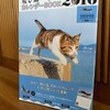 飛び猫カレンダーを買って貰った。