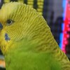 ４月２４日の相場を見てみたよ　チュン