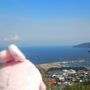 麦うさぎの月