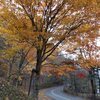 紅葉＆温泉旅行_梵天の湯