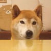 もう、10月じゃ…