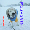これは悪い例です。