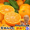 勝手に歯を削られたのですが、みかんの皮を食べてみました。