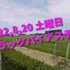 2022,8,20 土曜日 トラックバイアス予想 (新潟競馬場、小倉競馬場、札幌競馬場)