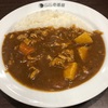 チキンにこみカレー + やさい（CoCo壱番屋/つつじヶ丘）