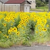 二学期のスタートに