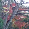 野島公園散策！