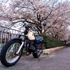 【スナップショット94】バイクと桜