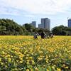 浜離宮庭園でキバナコスモスと萩が見頃！彼岸花・サルスベリも開花｜2025年10月5日（東京都中央区）