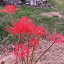 おもいつくままに