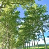 瞑想の基本と大事にするといいこと〜瞑想セミナー1