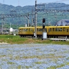 三岐鉄道北勢線の団臨を撮る。