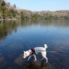 しらたまと一碧湖