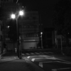 早く寝た夜は・・・65sgg。