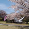 さくら宇宙公園🌸