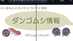 はてなブログのヘッダー画像がボヤける→綺麗に表示させる方法