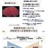 認知症の治療　捉え方を変えてみよう