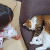 あんずがいっぱい74　いたずらキッズ