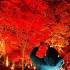長瀞紅葉祭りのライトアップ 宝登山神社と月の石もみじ公園に行ってきた