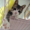 戒めの鳥肌