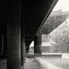 土砂降りの中の法隆寺西院伽藍