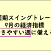 9月のメジャーSQや金利政策発表に備え、現金化ノーポジションへ：短期スイングトレード考え18