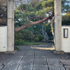 旧町名「貫井村池ノ上草分」