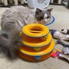 今夜は活発ふくちゃん