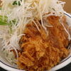 かつやのガツ盛り野菜のチキンカツ丼は販売終了前に食べるべきマスト丼！