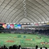 本日は野球観戦⚾︎