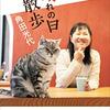 晴れの日散歩